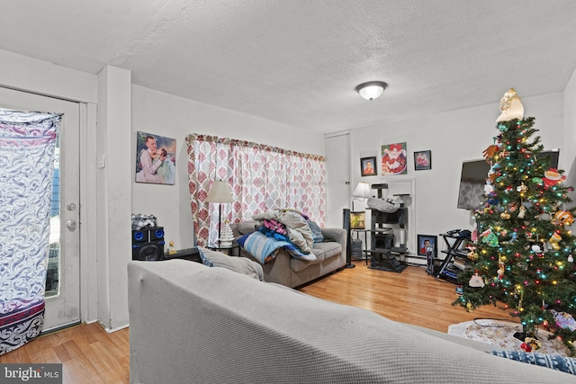 living room featuring hardwood / wood-style floors and a textured ceiling