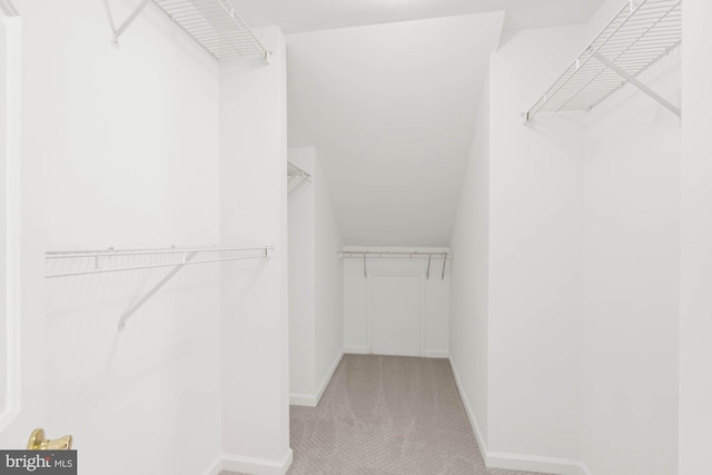 walk in closet with light carpet