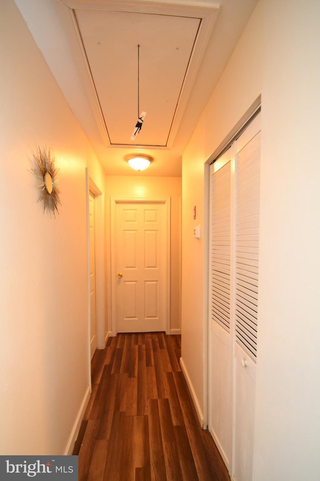 hall featuring dark wood-type flooring