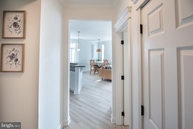 corridor featuring light wood-type flooring and ornamental molding