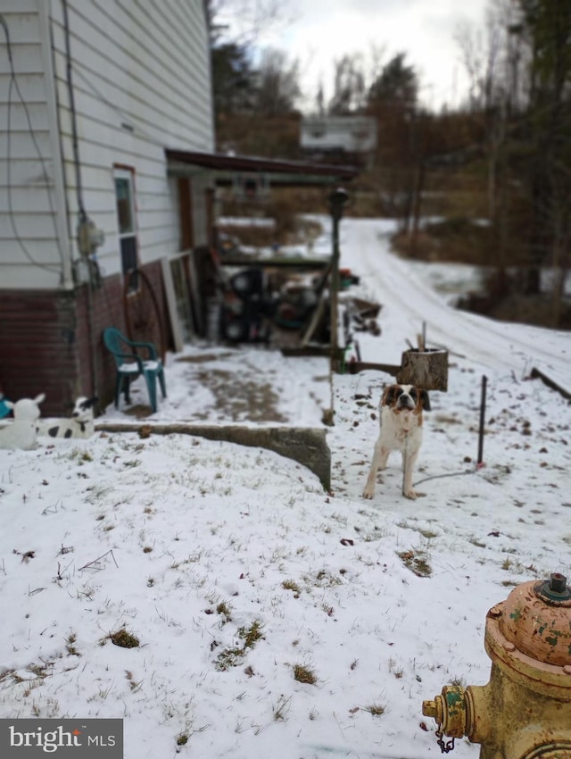 view of yard covered in snow