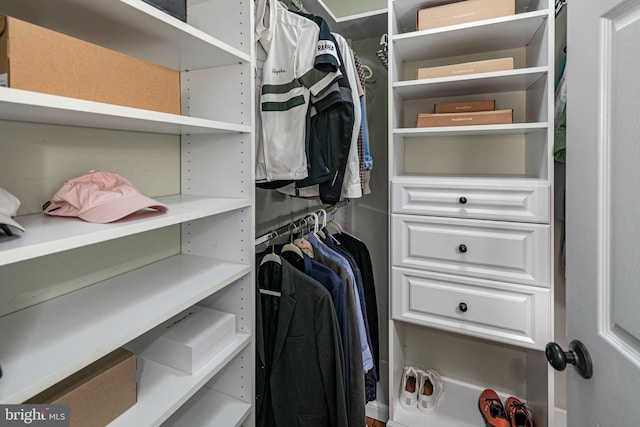 view of walk in closet