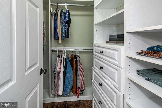 spacious closet featuring dark wood-type flooring