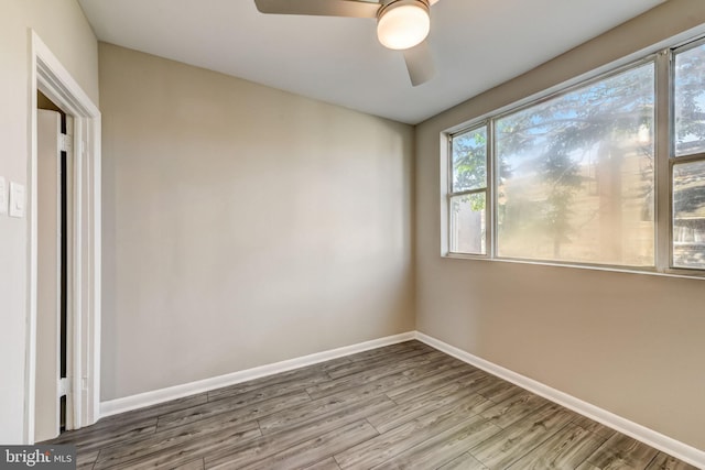 unfurnished room featuring ceiling fan and light wood-type flooring