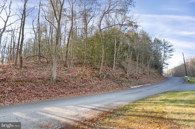 703 Dauva Luch Rd, Herndon, PA 17830 - view of road