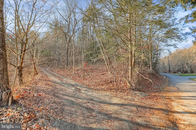703 Dauva Luch Rd, Herndon, PA 17830 - view of road