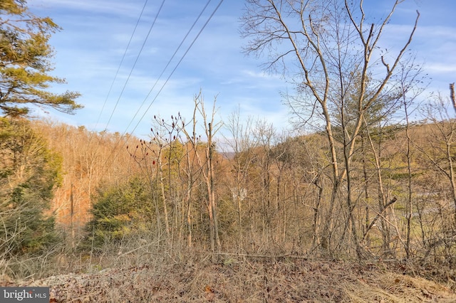 703 Dauva Luch Rd, Herndon, PA 17830 - view of local wilderness