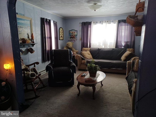 703 Dauva Luch Rd, Herndon, PA 17830 - carpeted living room featuring a textured ceiling