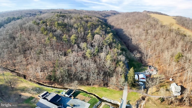 703 Dauva Luch Rd, Herndon, PA 17830 - drone / aerial view