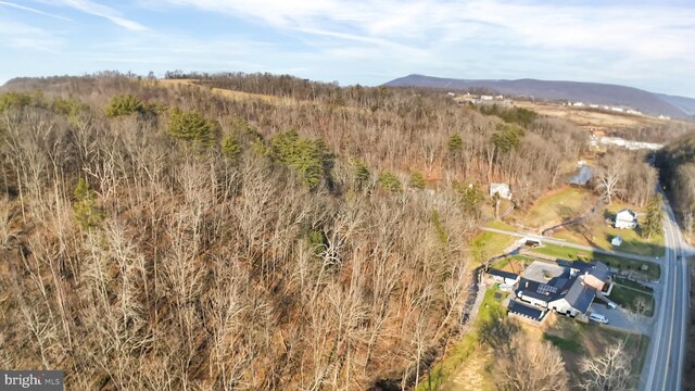 703 Dauva Luch Rd, Herndon, PA 17830 - bird's eye view with a mountain view