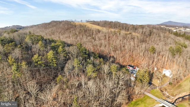 703 Dauva Luch Rd, Herndon, PA 17830 - birds eye view of property with a mountain view