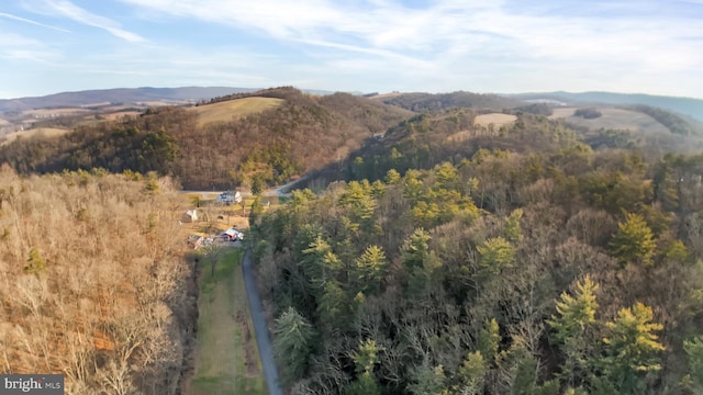 703 Dauva Luch Rd, Herndon, PA 17830 - mountain view