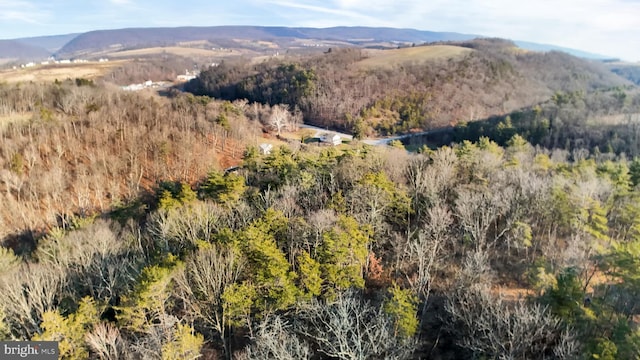 703 Dauva Luch Rd, Herndon, PA 17830 - view of mountain feature