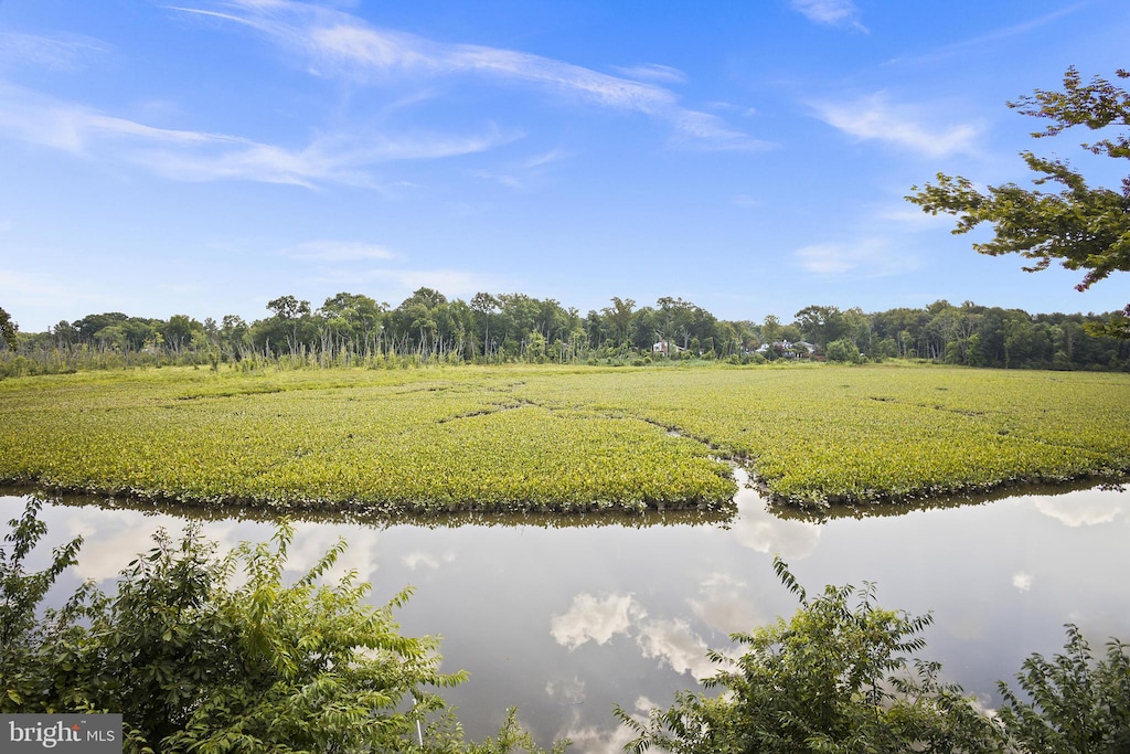 view of landscape featuring a water view and a rural view