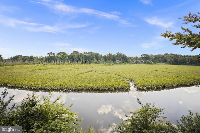 view of landscape featuring a water view and a rural view