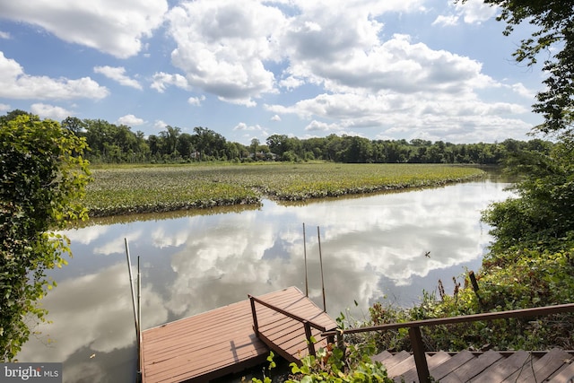 dock area featuring a water view