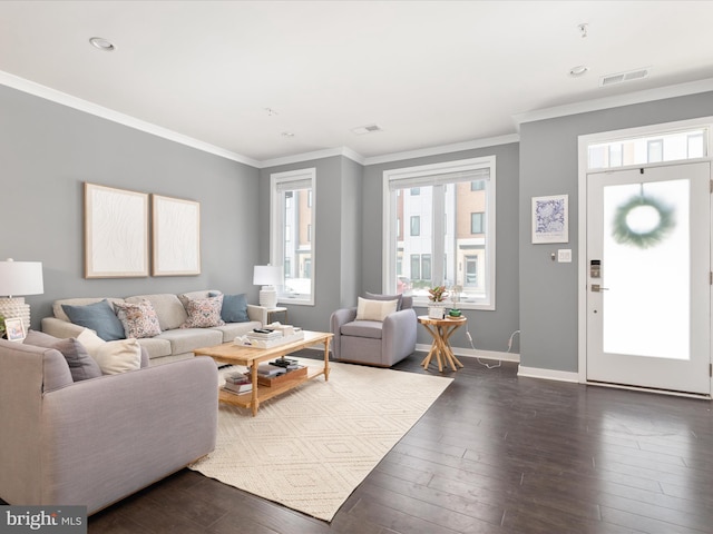 living room featuring crown molding and dark wood-type flooring