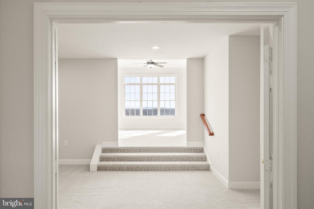 staircase featuring carpet floors and ceiling fan