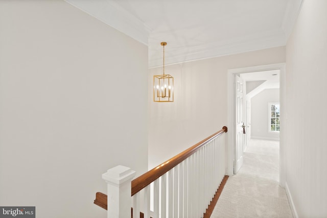 corridor with an inviting chandelier, light colored carpet, and ornamental molding