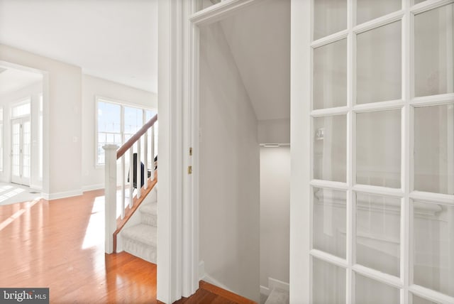 staircase with wood-type flooring