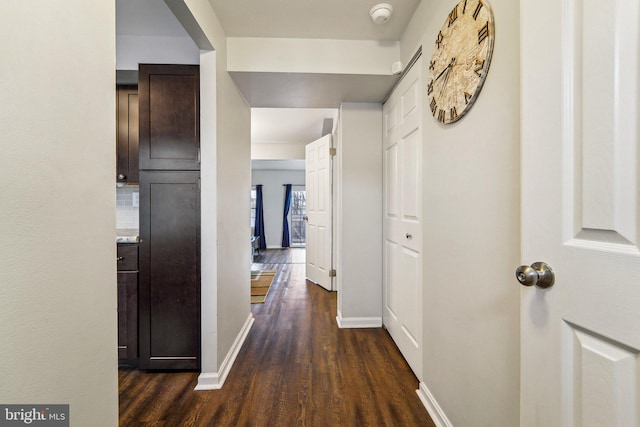 hall featuring dark hardwood / wood-style floors