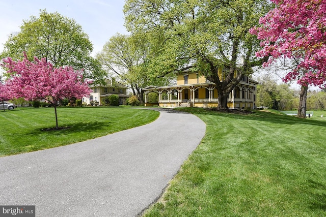 view of community with a lawn