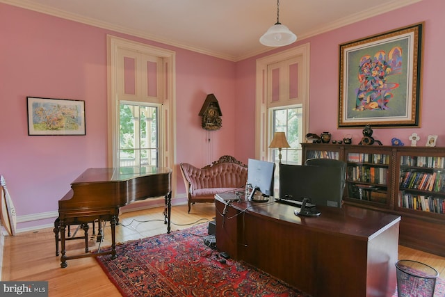 office space with light hardwood / wood-style flooring, a wealth of natural light, and ornamental molding