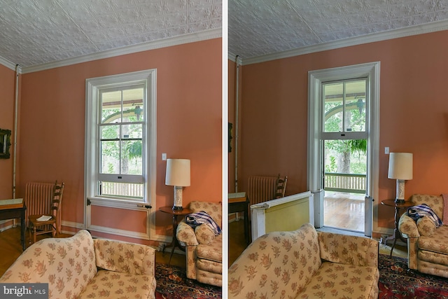 interior space featuring crown molding and radiator heating unit