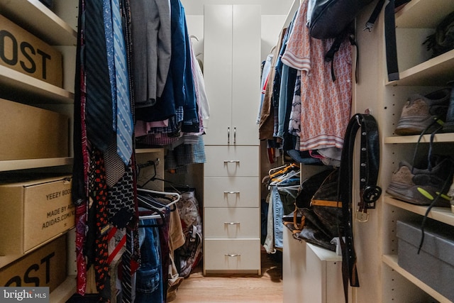 spacious closet featuring light hardwood / wood-style flooring