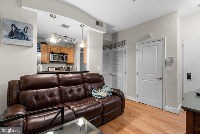 living room with light hardwood / wood-style flooring