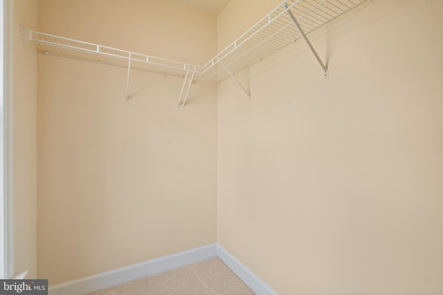 walk in closet featuring carpet