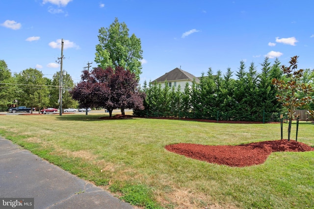 view of community featuring a yard