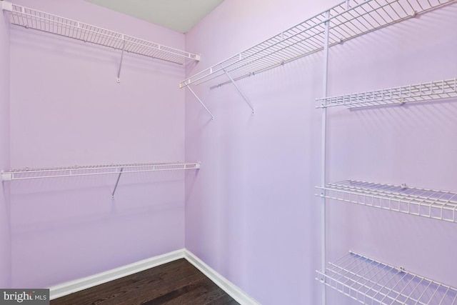 walk in closet featuring wood finished floors