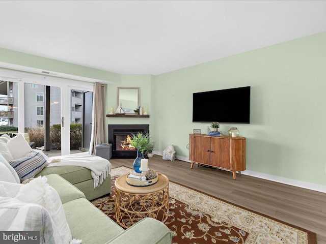 living room featuring wood-type flooring