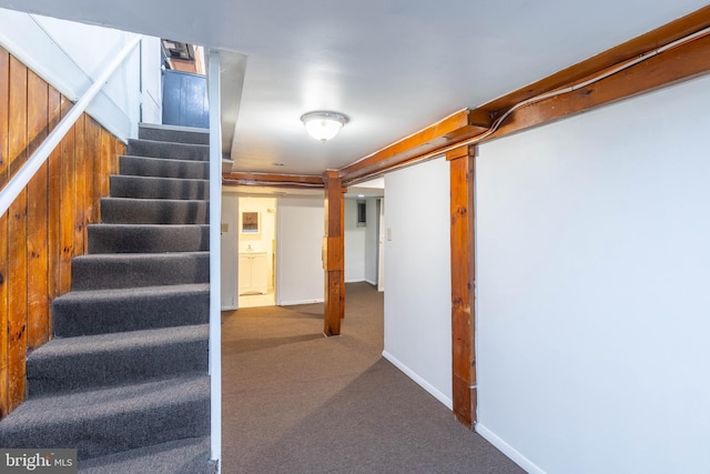 staircase featuring carpet