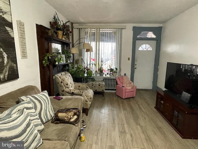 living room featuring radiator, light hardwood / wood-style flooring, and a textured ceiling