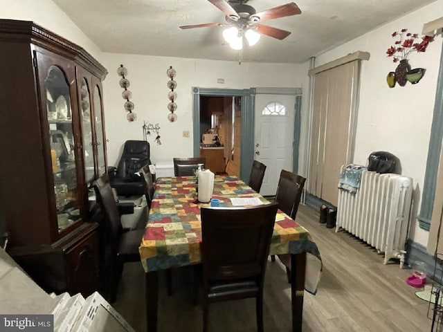 dining area with radiator heating unit, ceiling fan, and wood-type flooring