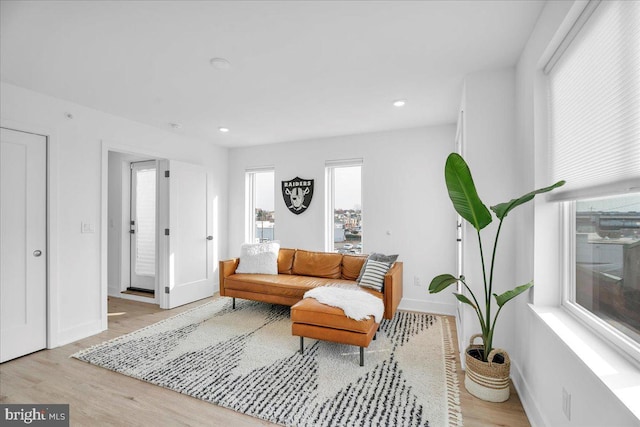 living room featuring light hardwood / wood-style flooring