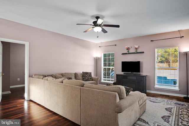 living room featuring ceiling fan and dark hardwood / wood-style flooring