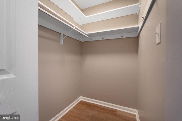 walk in closet with hardwood / wood-style floors