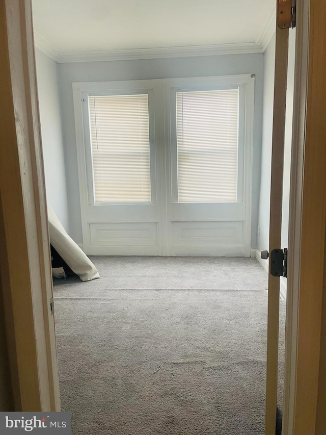 interior space featuring light carpet and ornamental molding