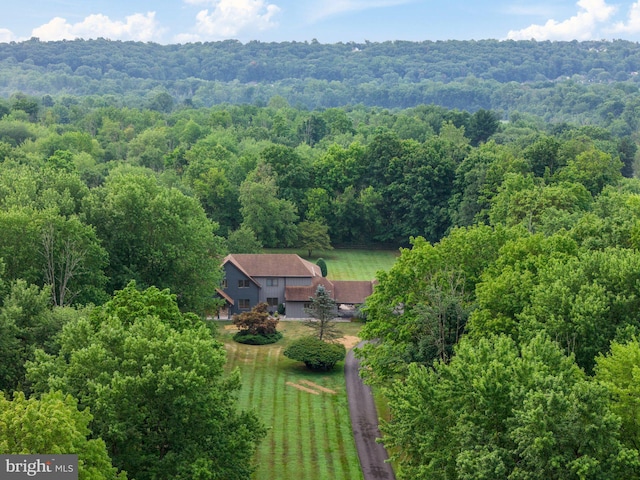 aerial view