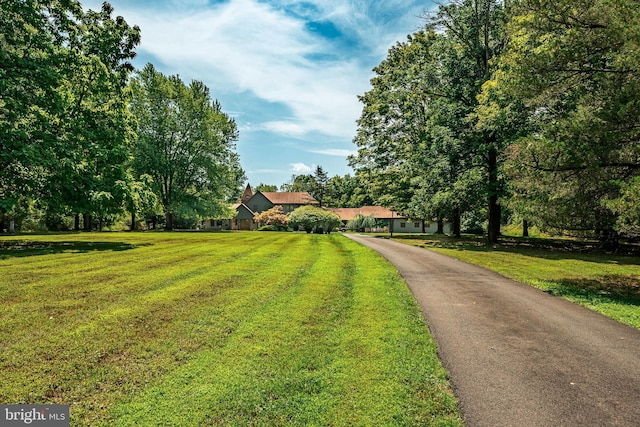 exterior space with a lawn