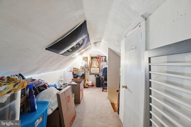 bonus room featuring a textured ceiling, vaulted ceiling, and light carpet