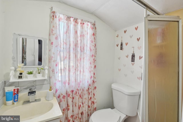 bathroom featuring sink, vaulted ceiling, and toilet