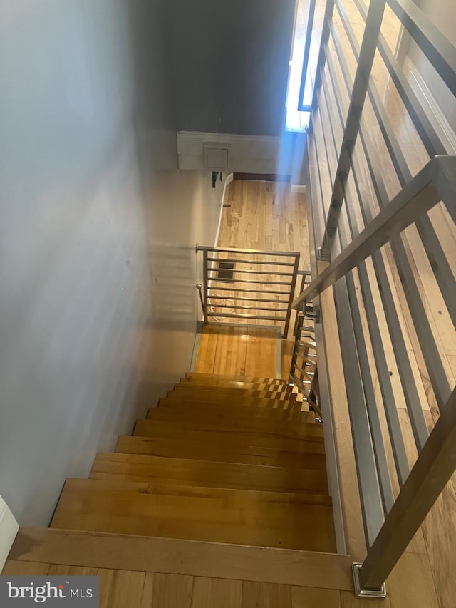 stairway with wood-type flooring