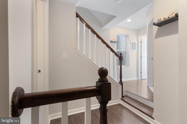 stairs with hardwood / wood-style floors