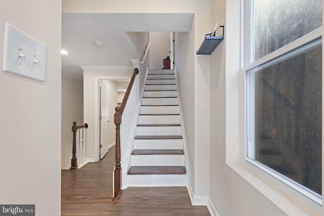 staircase with wood-type flooring and ornamental molding