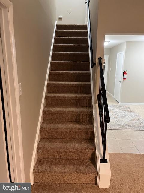 stairway featuring carpet floors