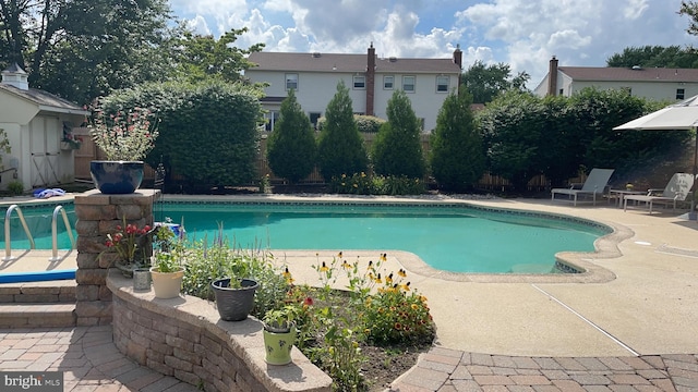 view of pool with a patio